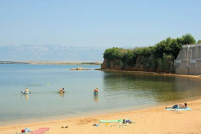 Zvonimir *